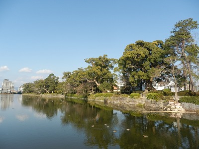 西濠風景.jpg